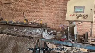 محصولی محبوب که در آفریقا استفاده می شود، همچنین برای نرده های مشبک تزئینی در مناطق مختلف مناسب است.